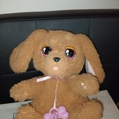 Собака активная со свукам