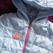 Красивая детская деми куртка