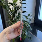 Олівець для губ