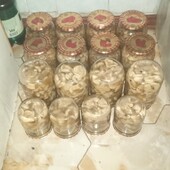 Маслюки мариновані 0.5л