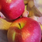 Домашні яблука 3 кг разом