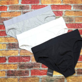 Арт.483 чоловічі труси 3шт livergy євро розмір 6/L .