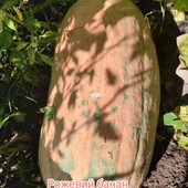 Гарбуз Рожевий банан