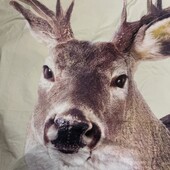 Пододеяльник