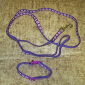 Ошейник и поводок одним лотом