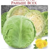 Рання капуста Раніше Всіх. 150 шт!!! Стійка до хвороб.