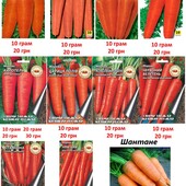 Насіння моркви,10 грам, один сорт на вибір, велика пачка чесна вага