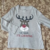 Реглан в гарному стані (98/104)