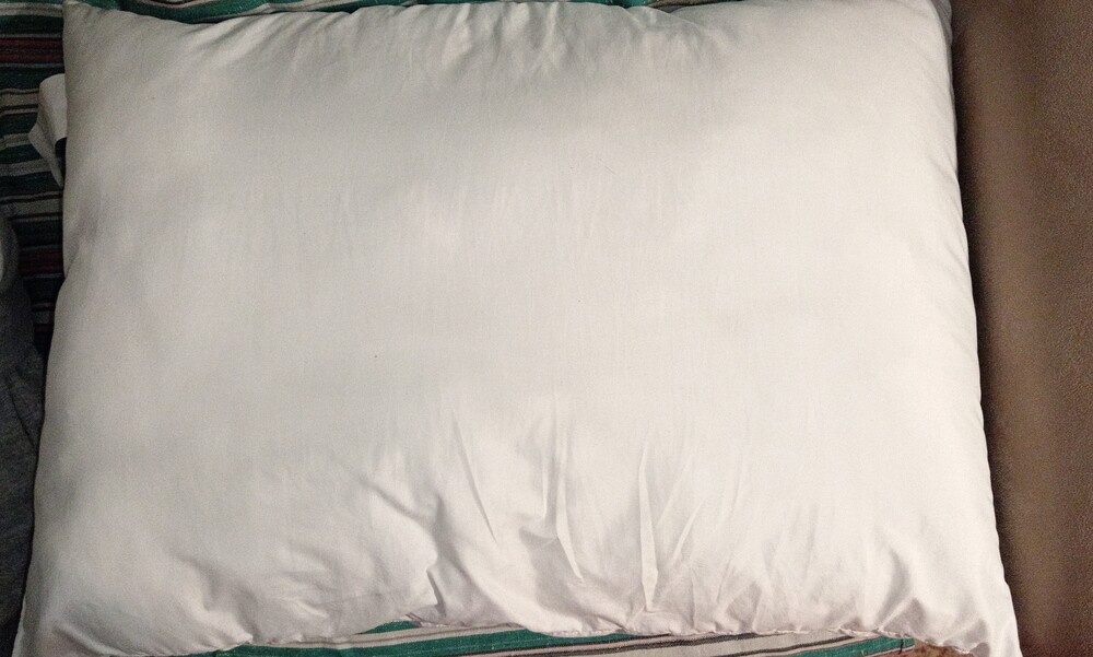 Фото №3