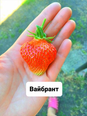 Фото №2