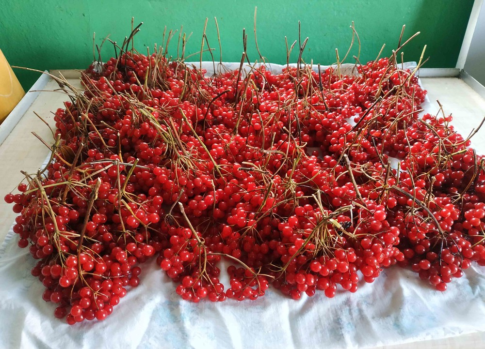 Фото №5