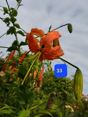 Фото №2
