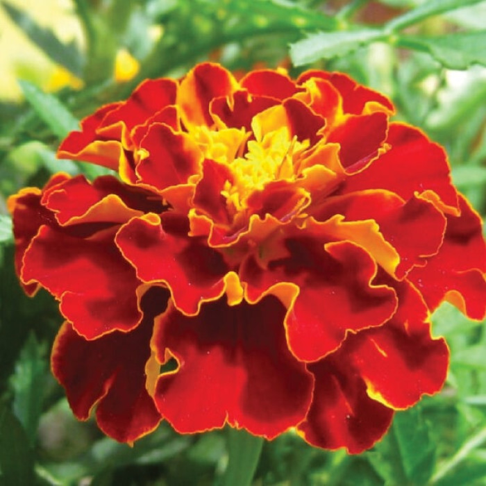 Фото №1
