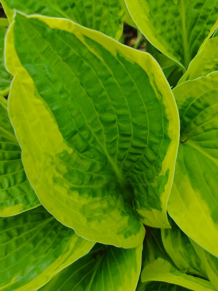 Фото №2