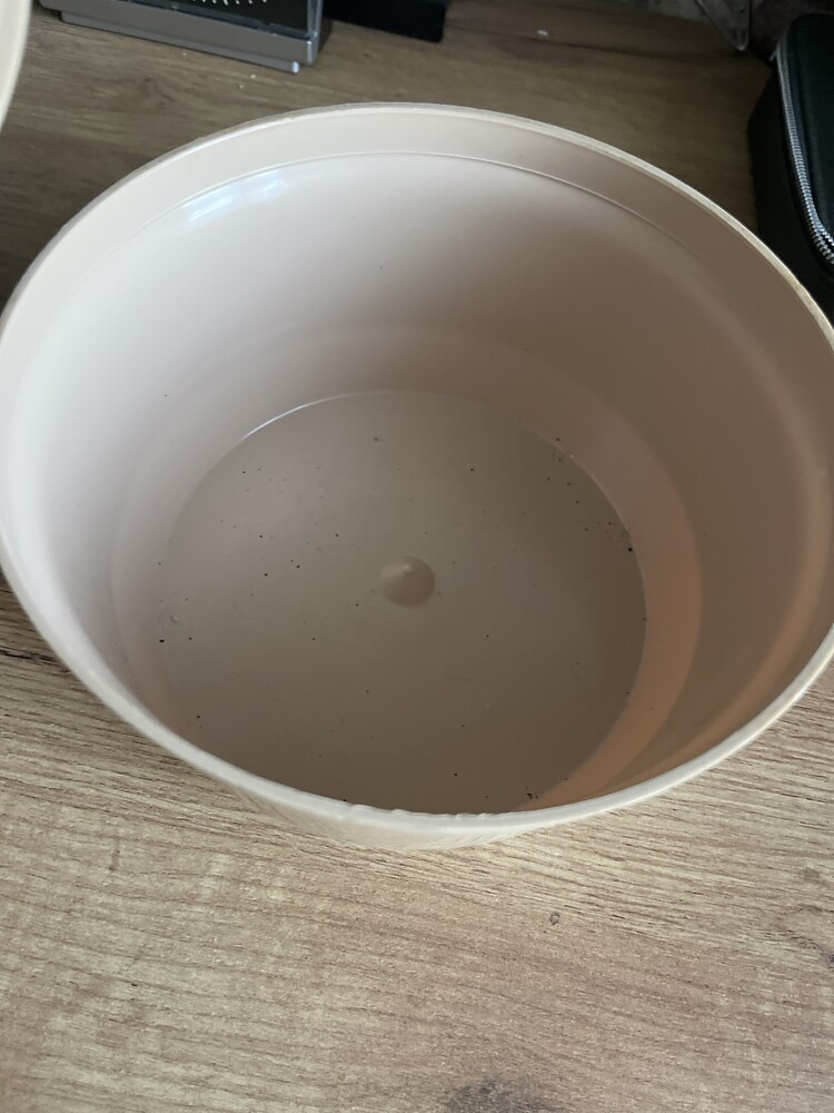 Фото №2