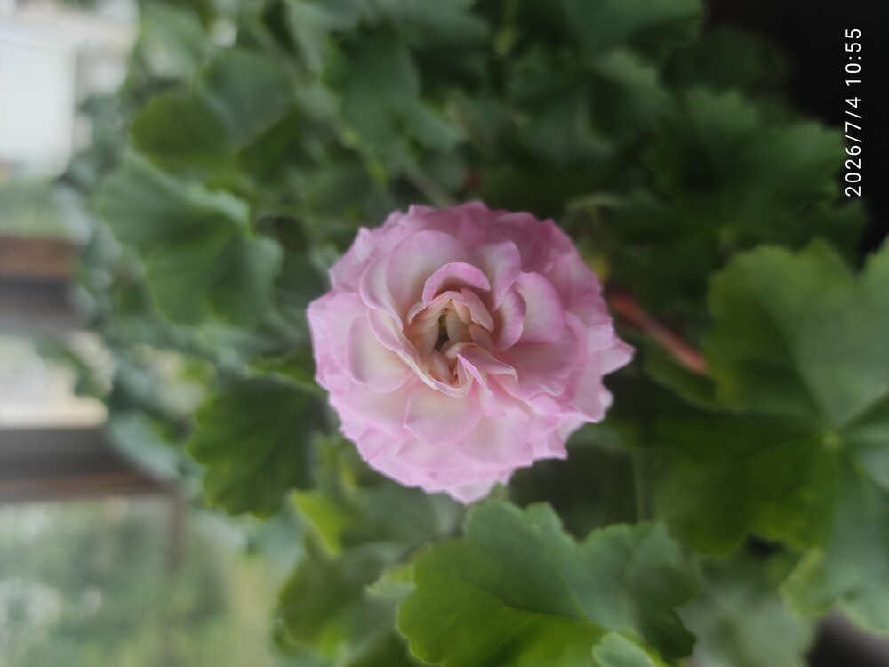 Фото №2