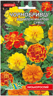 Фото №2