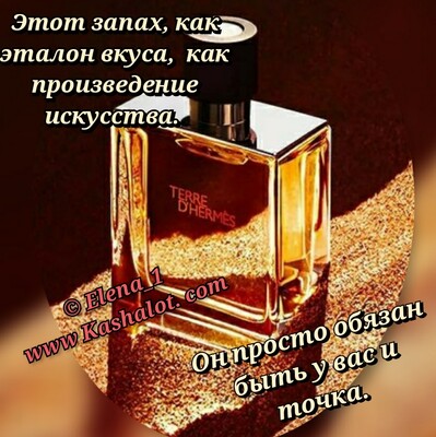 Фото №2